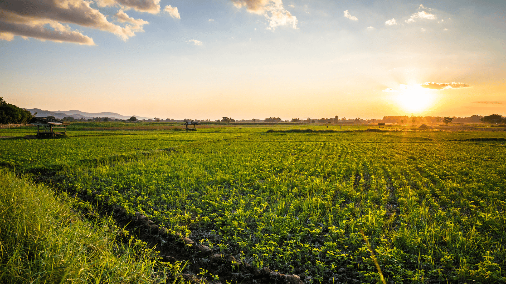 An image of a Canadian farming business at sunset