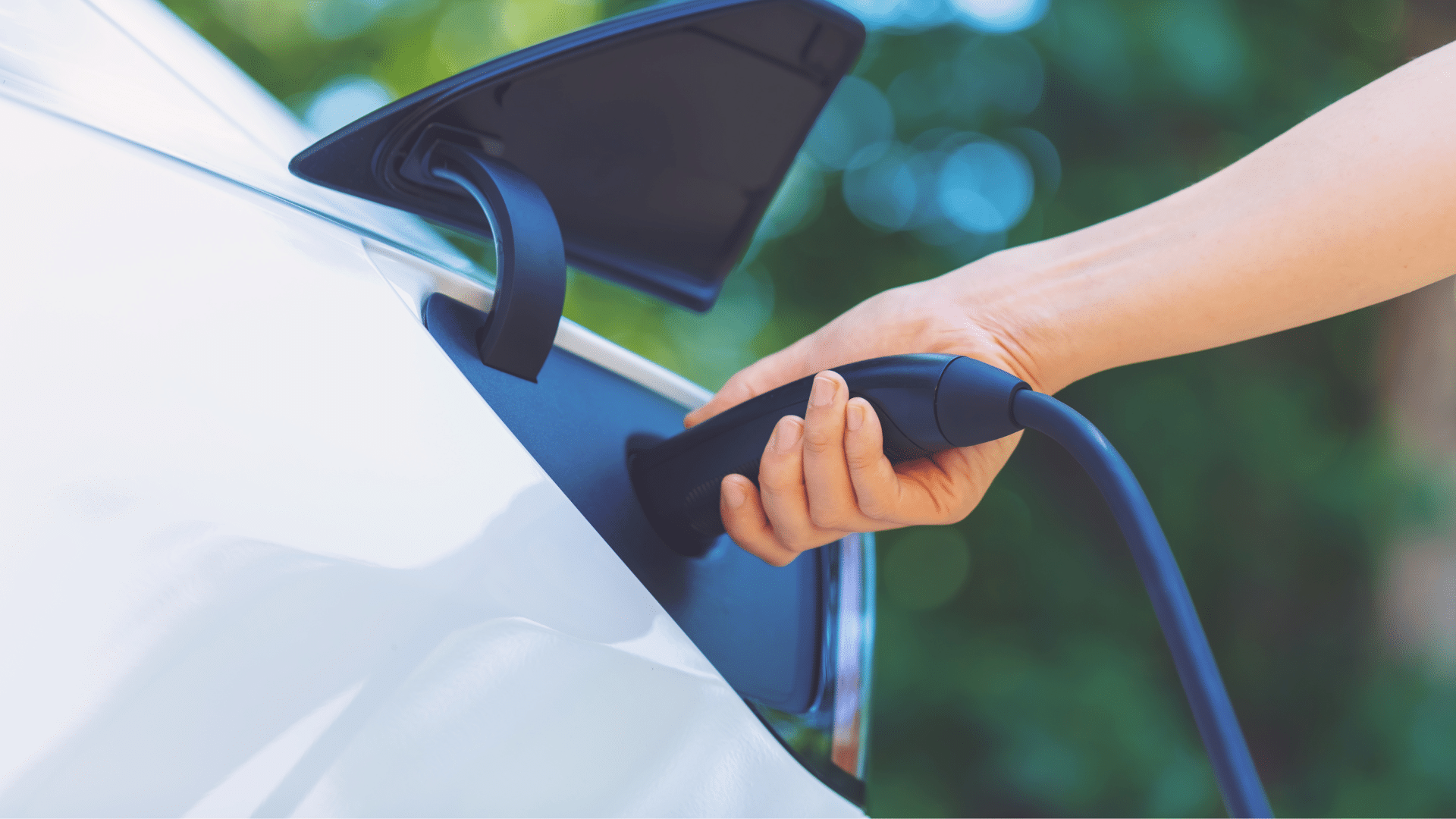 An image of a small business owner plugging in their businesses Zero-Emission Vehicle