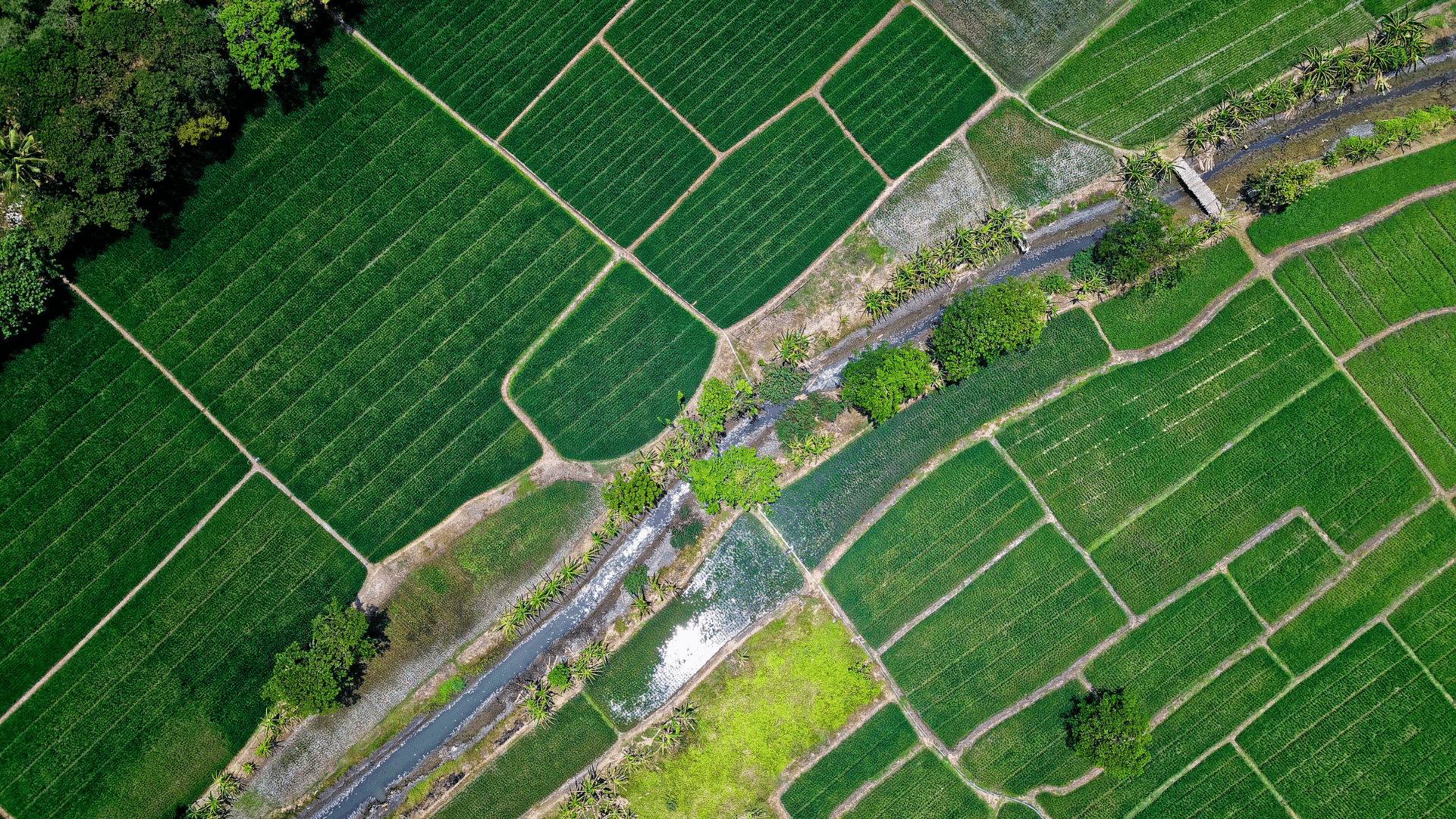 An arial view of a farm